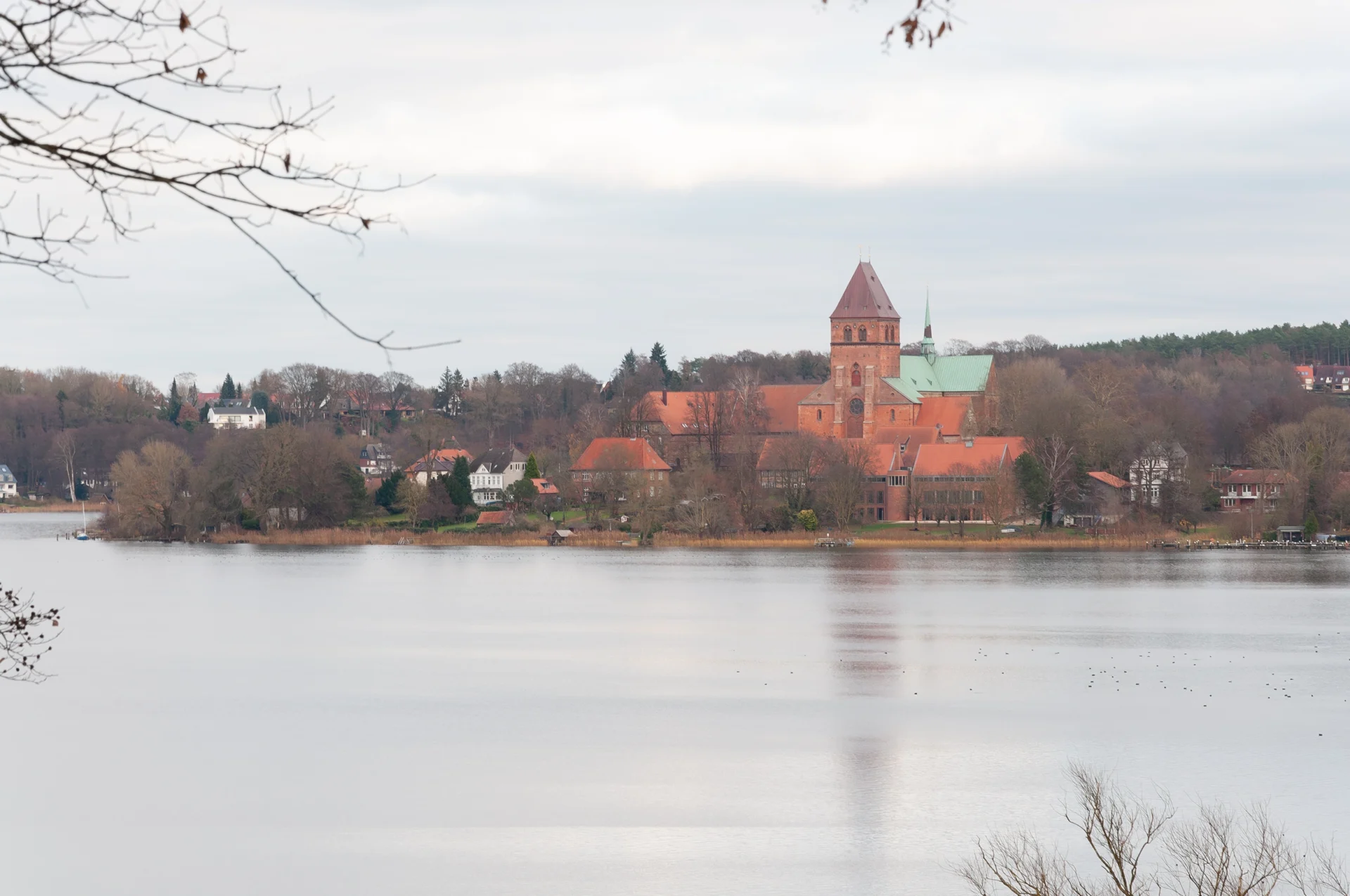 DSC 3425 B Kopie 2500